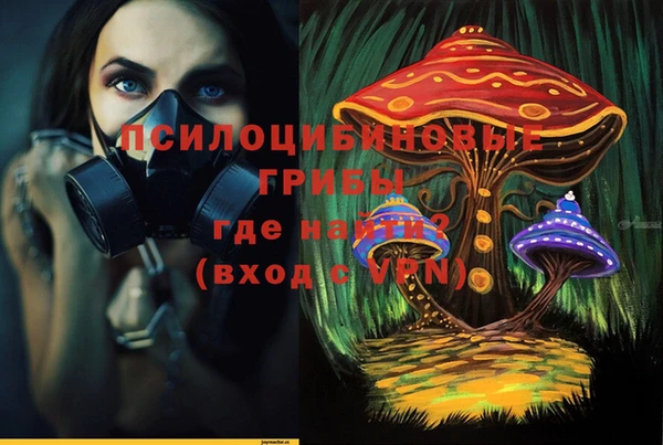 эйфоретик Алексеевка