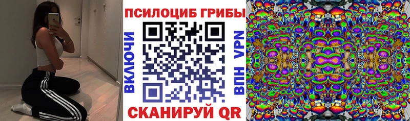 Псилоцибиновые грибы Psilocybe  Андреаполь 