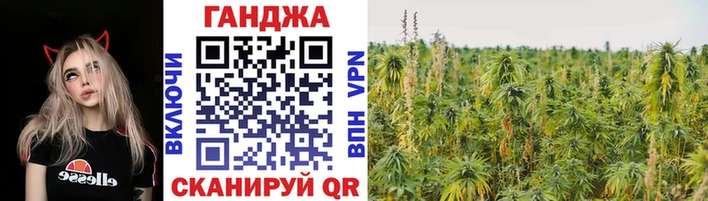 купить наркоту  Андреаполь  Канабис конопля 